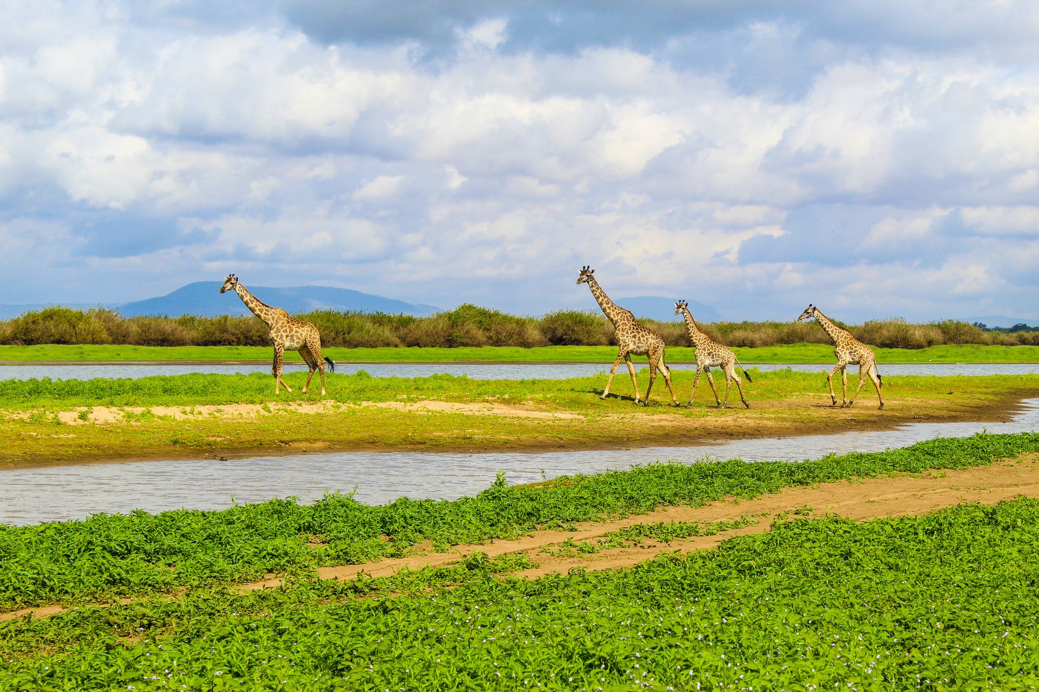 Foto: Julia Deijkers instagram: @prettystartinthesky